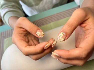 客甲日常