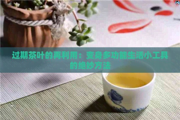 过期茶叶的再利用：变身多功能生活小工具的绝妙方法