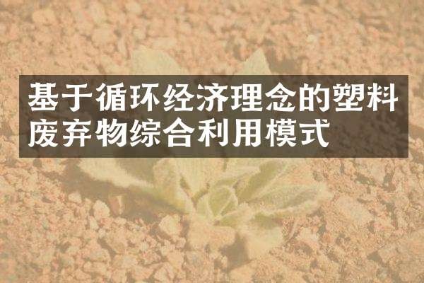 基于循环经济理念的塑料废弃物综合利用模式