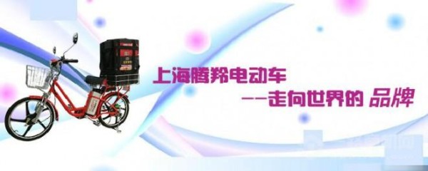 腾羚电动车加盟
