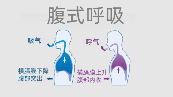 腹式呼吸 Abdominal breathing
