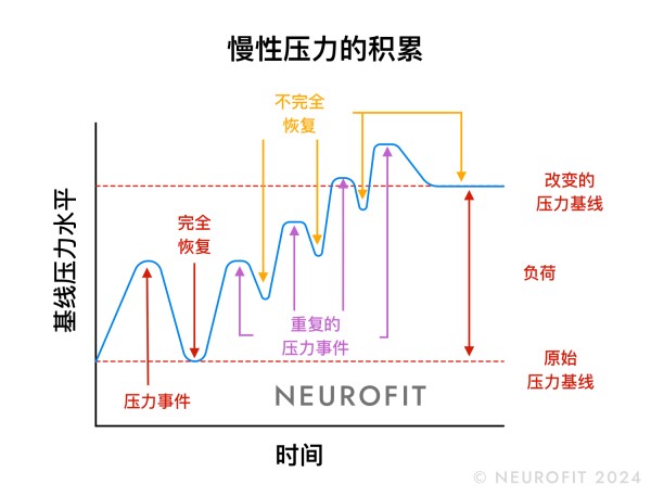 一张折线图,描绘了随着时间的推移,慢性压力不断累积,并因反复接触压力事件而使神经系统的压力基线升高。
