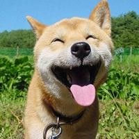 小三爱穿旧鞋
