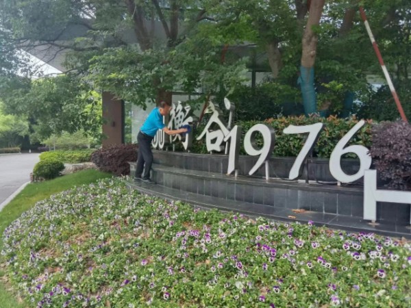 长宁区室内绿植养护公司,绿植养护