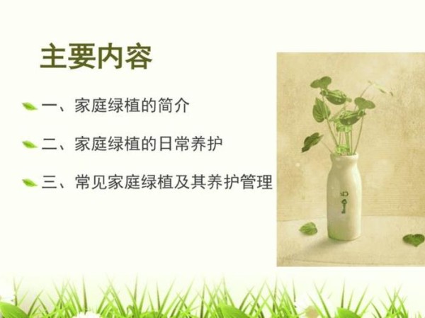 植物养护基本知识教案、室内绿植养护小知识