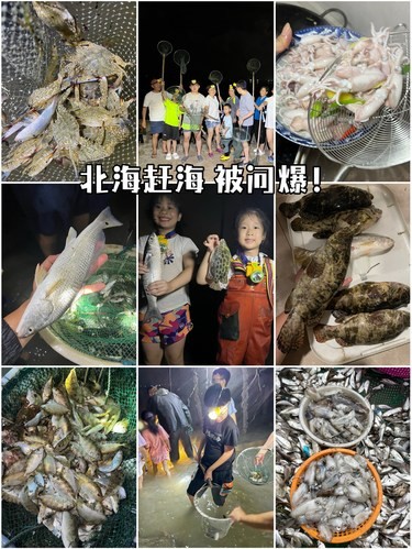 北海赶海被问爆！一次说清！