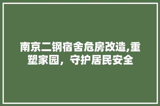 南京二钢宿舍危房改造,重塑家园，守护居民安全 金属