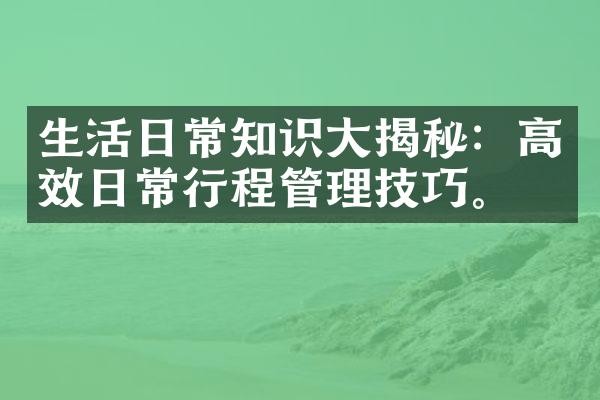 生活日常知识大揭秘：高效日常行程管理技巧。