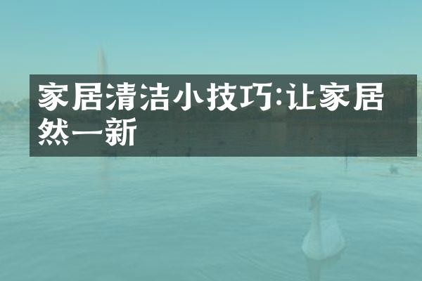 家居清洁小技巧:让家居焕然一新