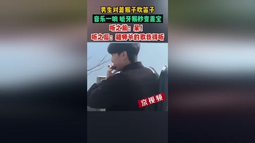 男生对着猴子吹笛子，音乐一响，呲牙猴秒变乖宝