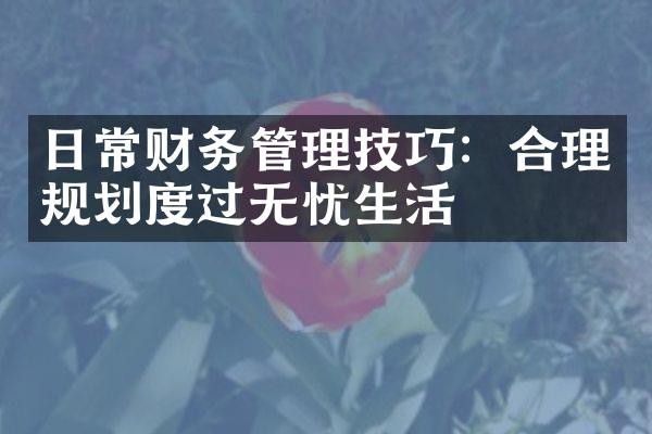 日常财务管理技巧：合理规划度过无忧生活
