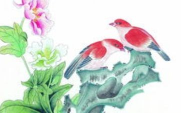 厨房灶台洗菜盆布局 灶台最忌与水槽相邻