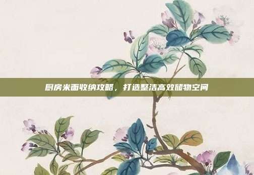 厨房米面收纳攻略,打造整洁高效储物空间