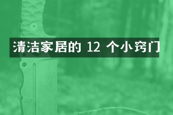 清洁家居的 12 个小窍门