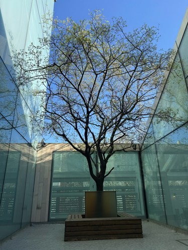 滴滴和 wework