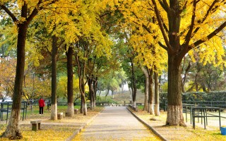 苏州大学