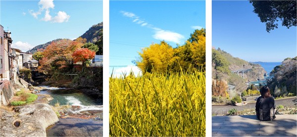 “田野上的风吹乱了我的头发，却吹清了我的心。” 在广袤的土地上，越野徒步，住在乡间的木屋，吃上一口地里刚摘下的鲜果，抑或是自己下厨做上一顿农家饭。田园生活的每一天都会有不一样的体验和意想不到的快乐。然而，对于习惯了城市生活的人来说，晒伤、腿酸、肩颈不适等问题也会随之而来。带上花王旗下这些“随身”好物，为你的“村民”慢生活增加一些悠闲舒适。