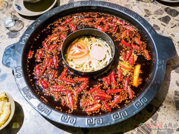 健康饮食指南