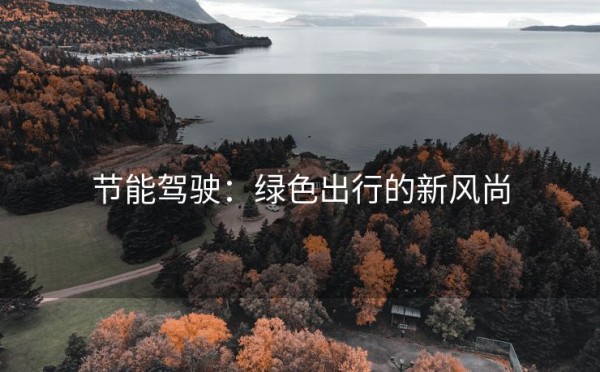 节能驾驶：绿色出行的新风尚