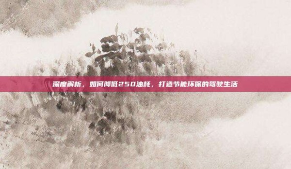 深度解析,如何降低250油耗,打造节能环保的驾驶生活