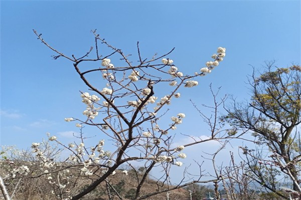美容院不建议做小气泡-一般为什么不建议做大气泡