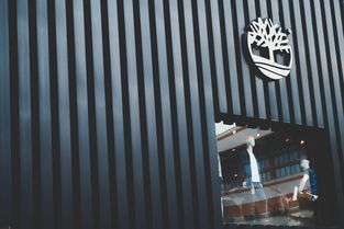 河东中式门窗品牌加盟店，传统与现代的完美结合