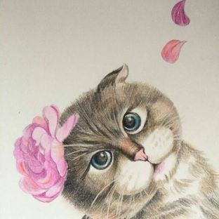 彩铅手绘可爱猫咪~亲们学起来~