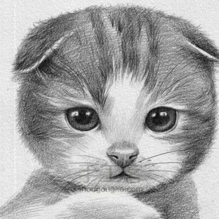 萌猫素描绘教程~~