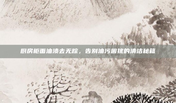 厨房柜面油渍去无踪,告别油污困扰的清洁秘籍