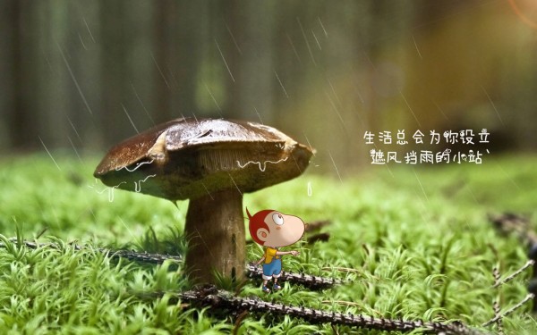 信用卡逾期，会给消费者带来诸多不便。然而，在日常生活中，我们应该如何避免信用卡逾期问题呢？接下来，我们将为您解答有关信用卡逾期的一些常见问题，并提供一些实用的应对策略。
