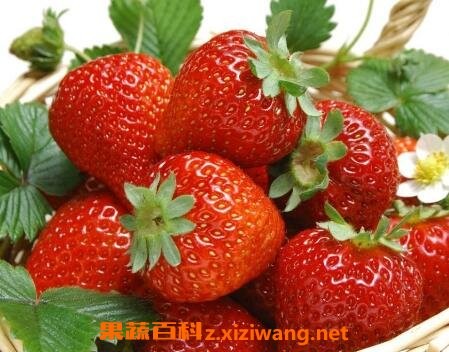 草莓怎么洗才干净 洗草莓的正确方法