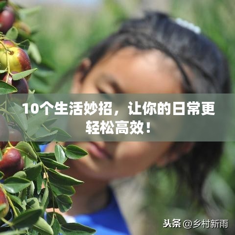 10个<a target=