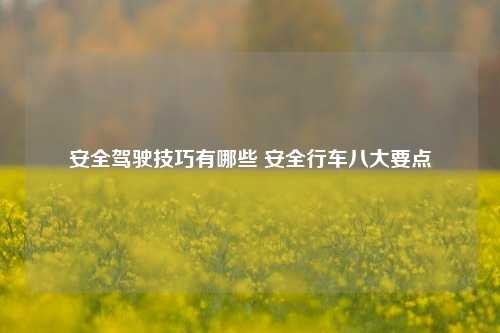 安全驾驶技巧有哪些 安全行车八大要点