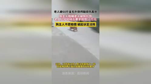 老人被60斤金毛扑倒颅脑损伤离世，狗主人隐瞒老人被狗扑倒 老人儿子知晓后要求赔偿10万元，狗主人不愿赔偿被起诉至法院