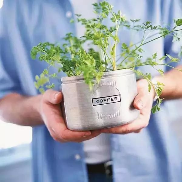 家里废物也能变成创意花盆，一分钱不用花，大家都能制作