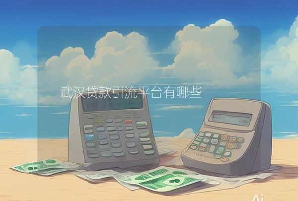 武汉贷款引流平台有哪些