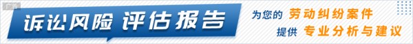 劳动纠纷诉讼风险评估服务