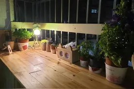 花不到400元爆改旧公寓阳台，变身多功能小吧台、工作间，太神图片