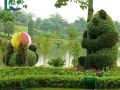 仿真植物雕塑常见的绿化造景方式