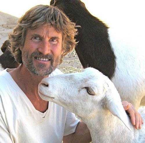 willlamb.jpg