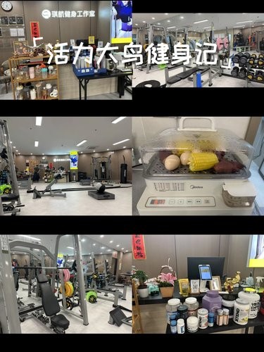 健身小白变达人
