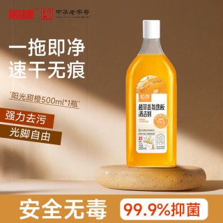 船牌地板清洁剂500ml 瓷砖清洗液拖地专用清香型强力去污抛光杀菌