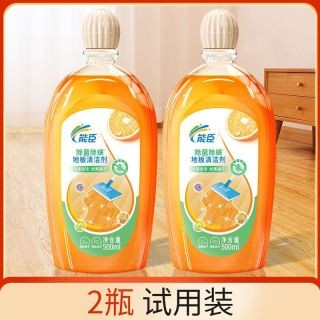 能臣 地板清洁剂瓷砖清洗护理拖地专用清洁液家用木地板厕所地瓷砖