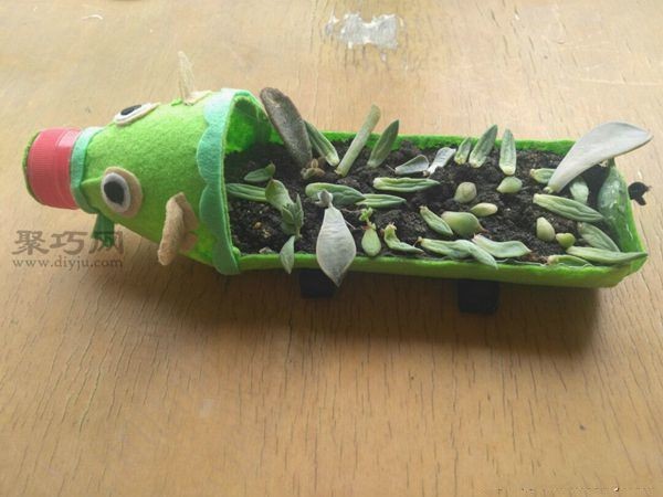 塑料饮料瓶DIY小猪款多肉花盆，超个性的手工制作教程！
