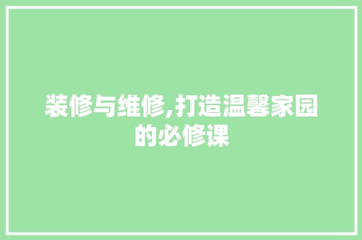 装修与维修,打造温馨家园的必修课 塑料材料