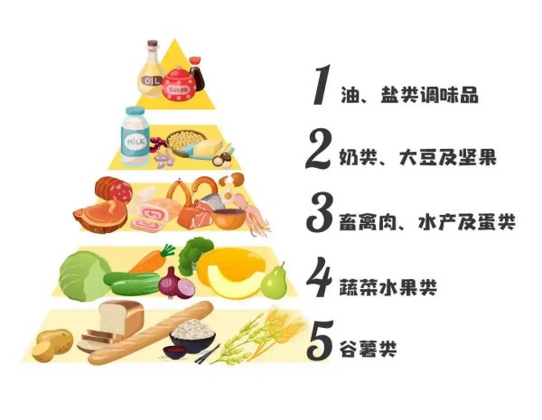 中国膳食指南:指导国人合理营养,促进健康生活