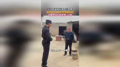 大爷偏信罂粟能治病，种植160余株，被民警现场铲除