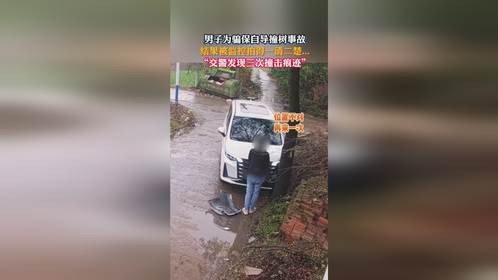 男子为骗保自导撞树事故，结果被监控拍得一清二楚