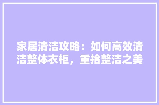 家居清洁攻略：如何高效清洁整体衣柜，重拾整洁之美 现代风格装饰