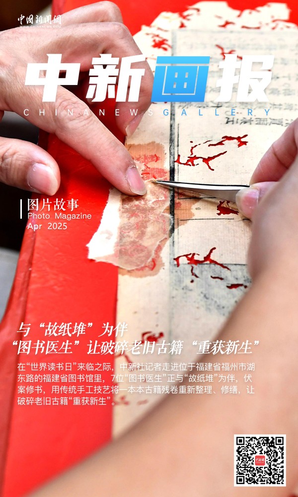 内容图片